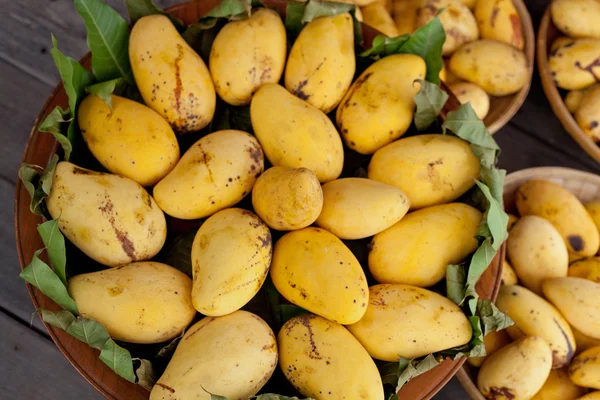 Golden mangoes — Stock Photo, Image