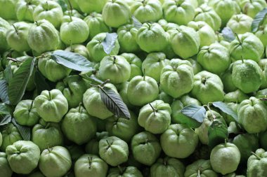 taze guava meyve arka plan