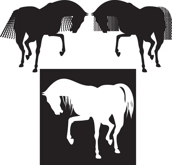 Силуэт лошади — стоковый вектор