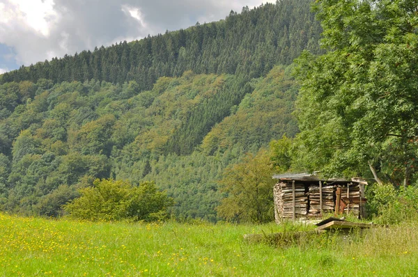 stock image Wood stock