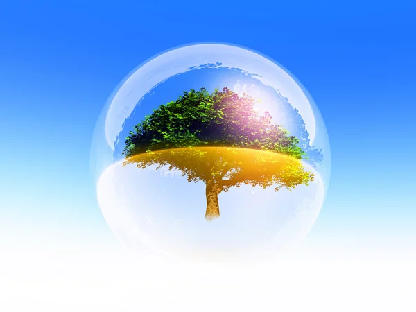 Bubbla träd — Stockfoto