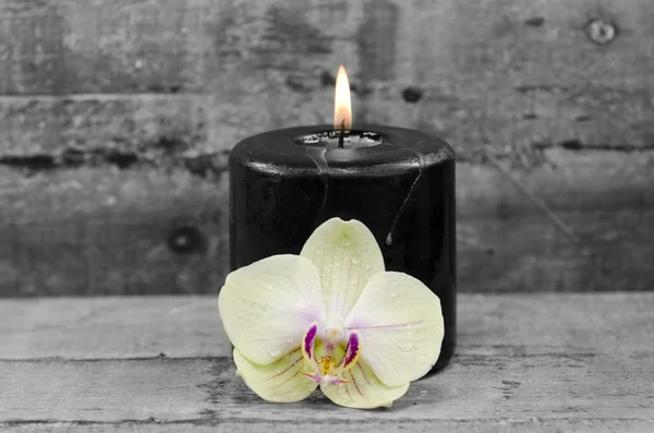 Vela preta e orquídea — Fotografia de Stock