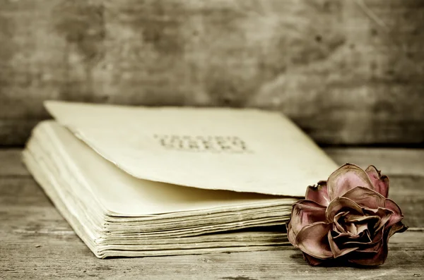 Rose und Buch — Stockfoto