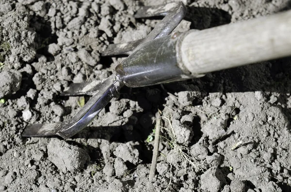 stock image Garden tool