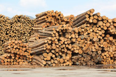 Wood pile clipart