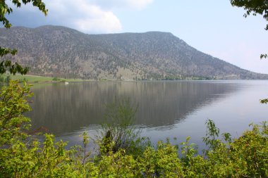 Nicola Gölü