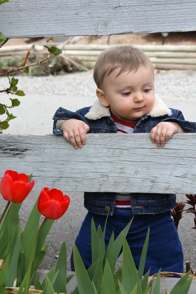 Zahradní dětské — Stock fotografie