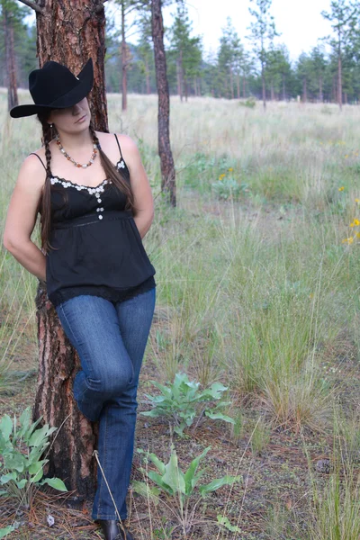 stock image Brunette cowgirl