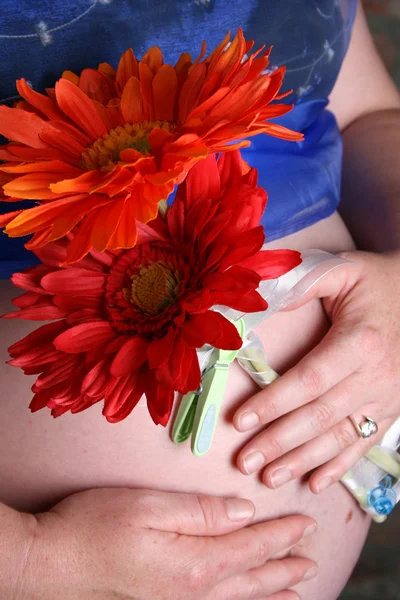 Беременная мама — стоковое фото