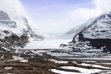 Columbia Icefield clipart