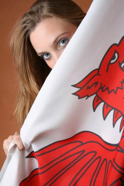 Welsh Beauty clipart