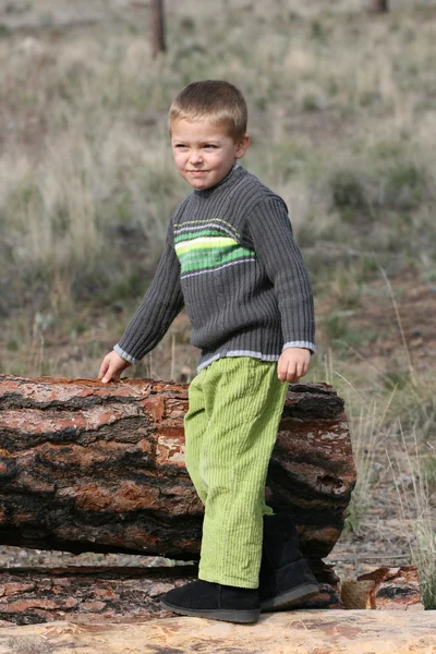 Мальчик в лесу — стоковое фото