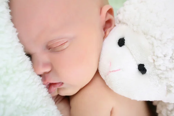 Sleeping Newborn — Stock Photo, Image