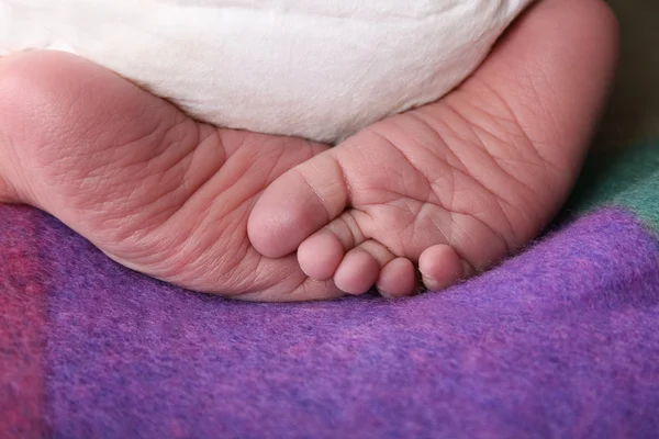 Neugeborene Füße — Stockfoto