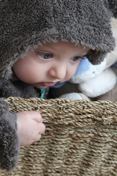 Niedźwiedź noworodek — Zdjęcie stockowe
