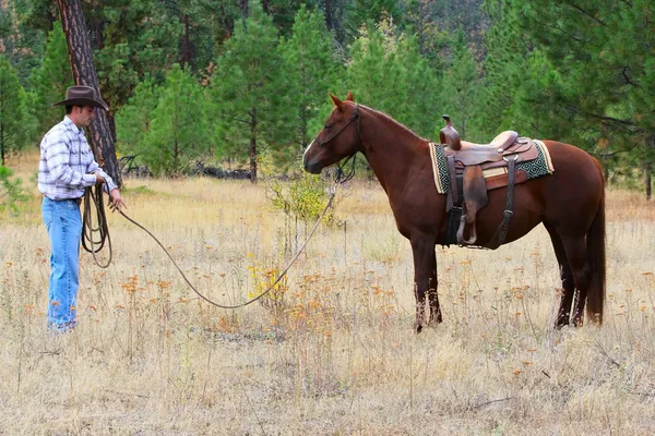 Cowboy. — Fotografia de Stock