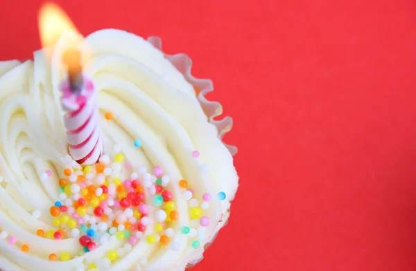 stock image Cup Cakes