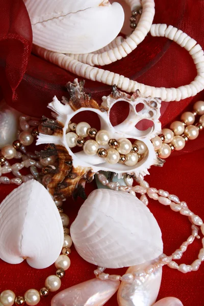 Seashells e jóias — Fotografia de Stock