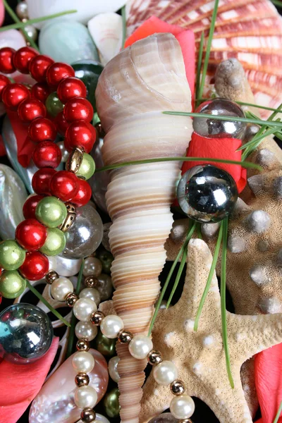 Seashells and jewelery — Stock Photo, Image