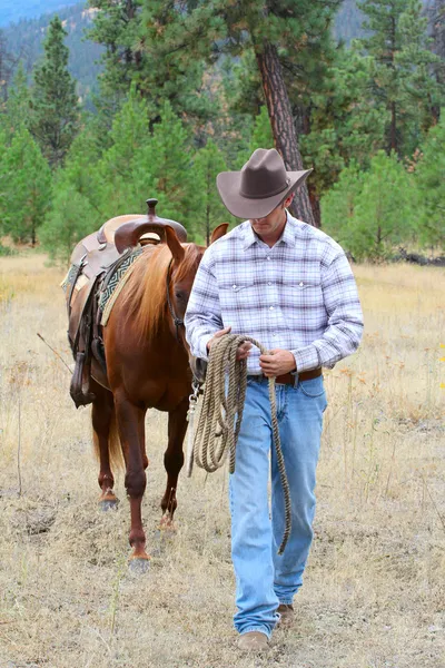 Cowboy Foto Stock Royalty Free