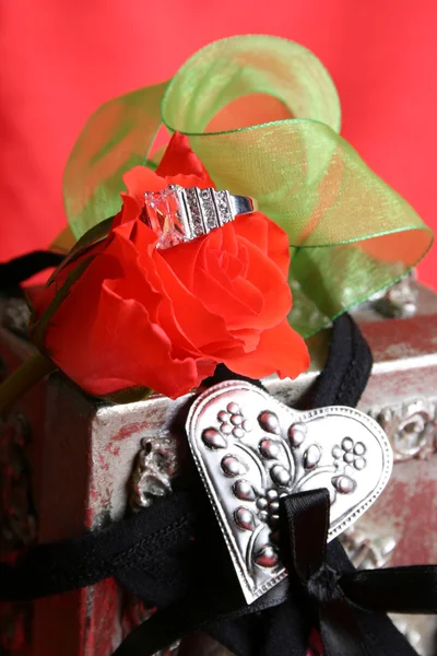 Valentine Proposal — Stock Photo, Image