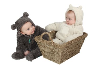 Teddy arkadaşlar