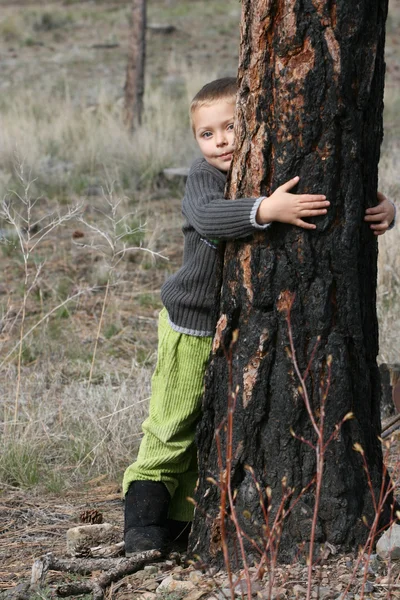 Rapaz em Woods — Fotografia de Stock