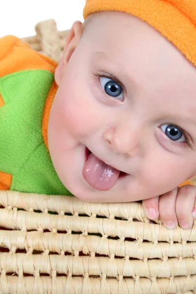 Bebé de calabaza — Foto de Stock