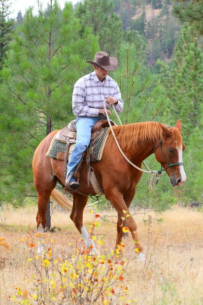 Trenér koní — Stock fotografie
