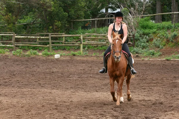 Equitazione — Foto Stock