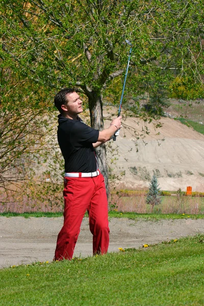 Jovem golfista — Fotografia de Stock