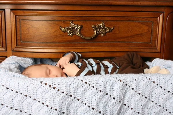 stock image Sleeping in Drawer