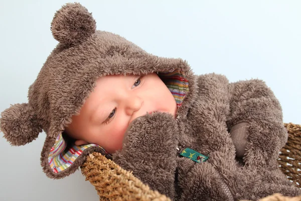 Bebê terno de urso — Fotografia de Stock