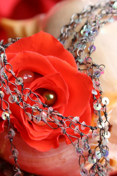 Red Rose Pearl — Stock Photo, Image
