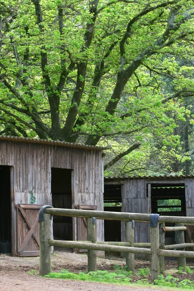 stock image Stables