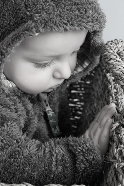 Takım elbise bebek ayı — Stok fotoğraf