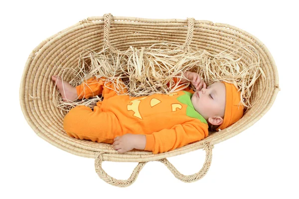 Pompoen baby — Stockfoto