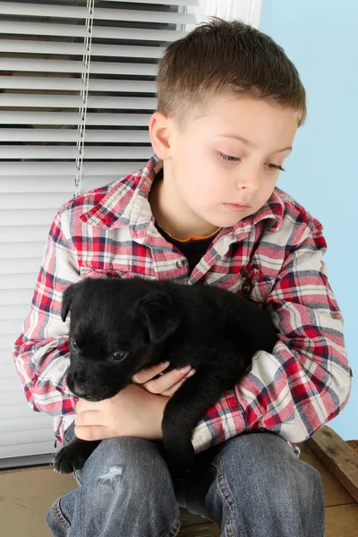 Мальчик и щенок — стоковое фото