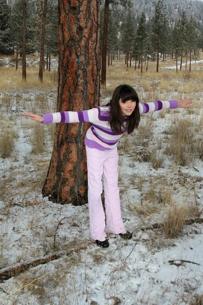 stock image Playing in snow