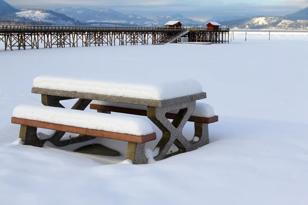 Salmón Brazo nieve —  Fotos de Stock