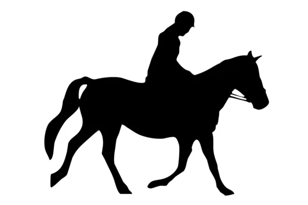 Верховая езда — стоковое фото
