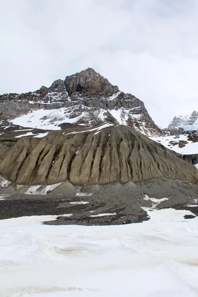 stock image Icefield