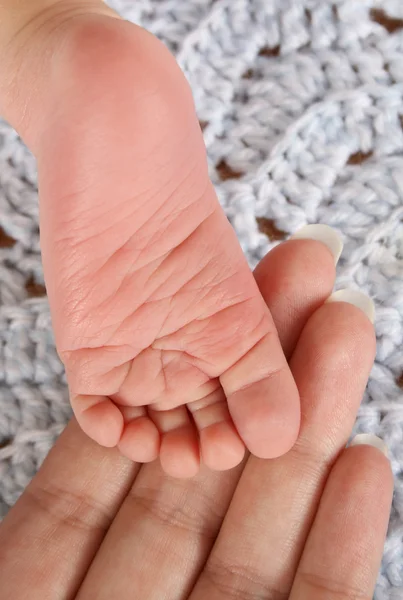 Foot and Hand — Stock Photo, Image