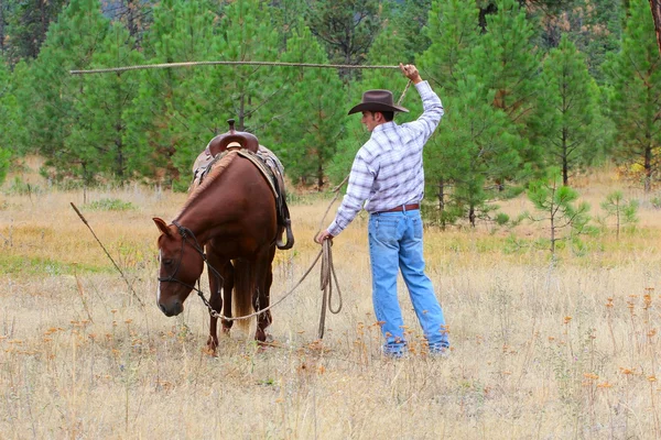 Cowboy. — Fotografia de Stock