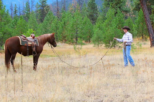 Treinador de cavalos — Fotografia de Stock
