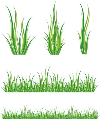 Set of green grass clipart