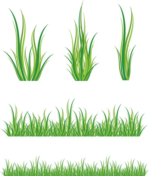 Set von grünem Gras — Stockvektor