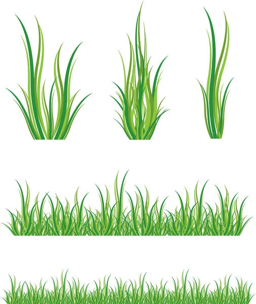 Sada zelené trávy — Stockový vektor