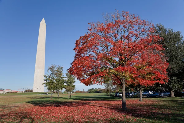 Washington Anıtı