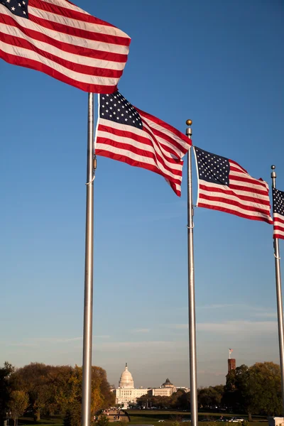 The US Capitol and US Flags — Stock Photo, Image